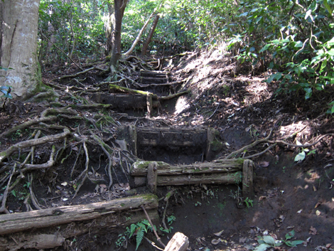20201105hike (45)